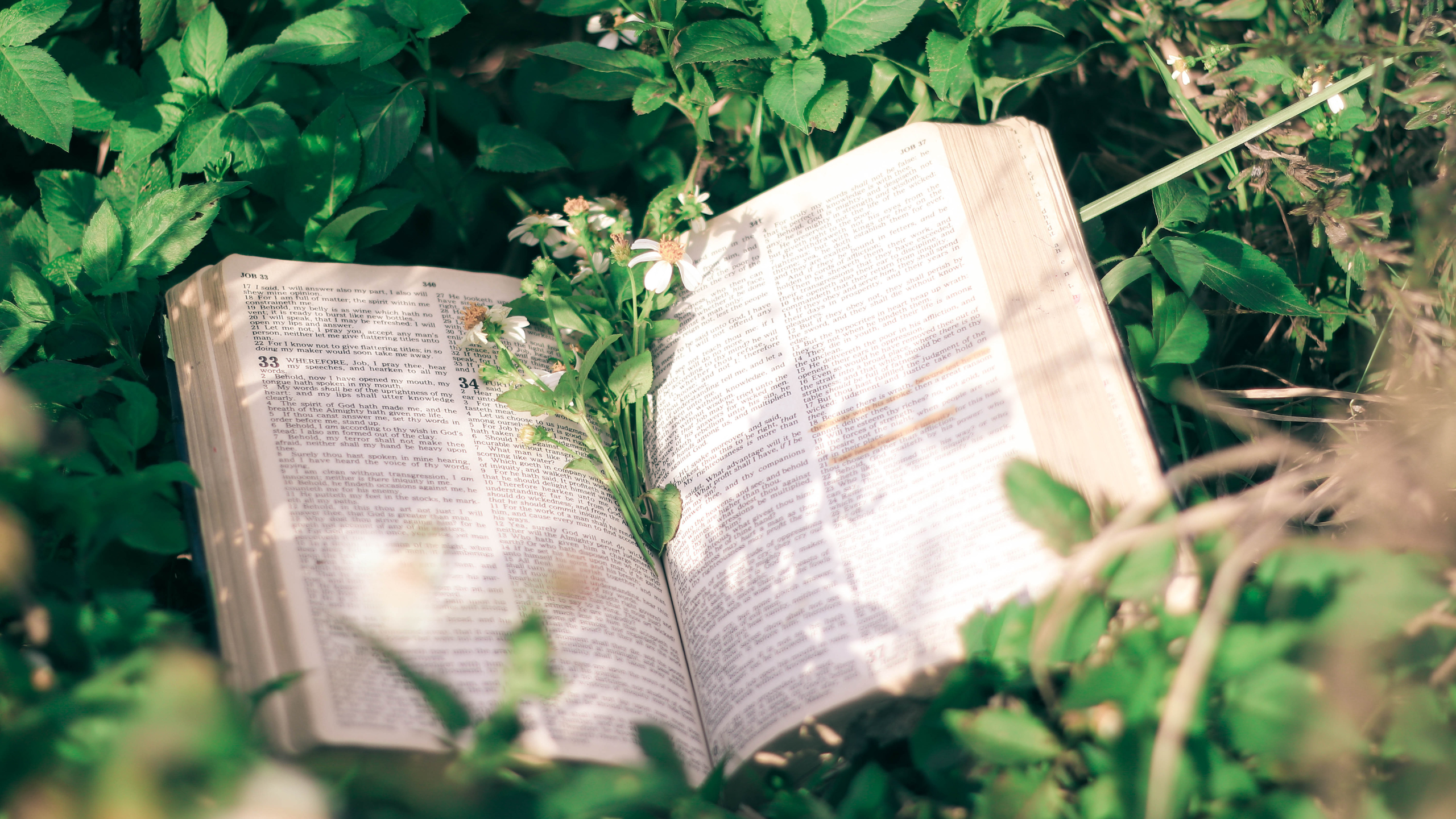 The Cost of Becoming a New Creation in Christ
